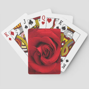 Baraja De Cartas Gran rosa rojo