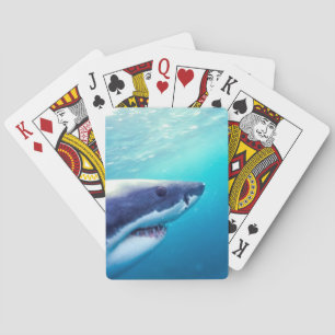 Baraja De Cartas Gran Tiburón Blanco Sudáfrica