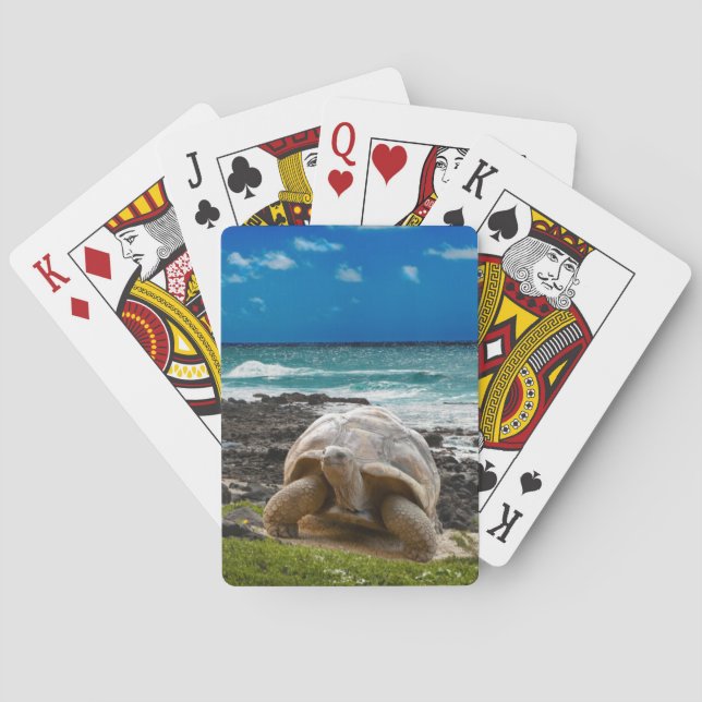 Baraja De Cartas Gran tortuga en la orilla del mar (Reverso)