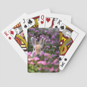 Baraja De Cartas Granja de conejo