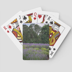 Baraja De Cartas Granja de lavanda