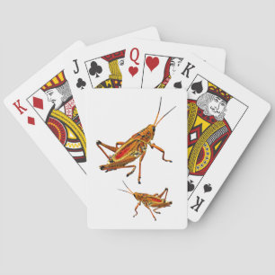 Baraja De Cartas Grasshopper