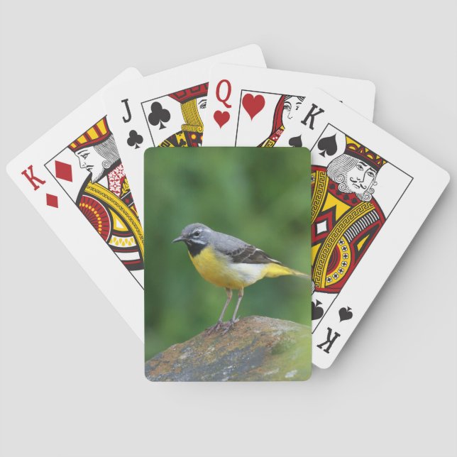 Baraja De Cartas Gray Wagtail - pájaro (Reverso)