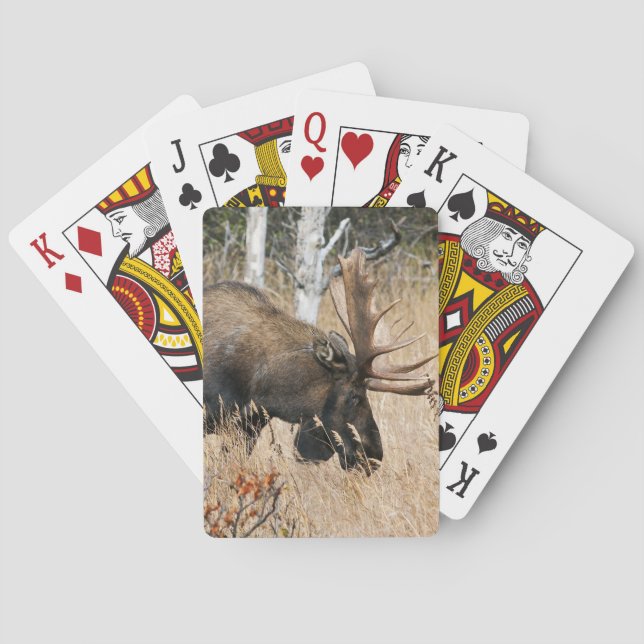Baraja De Cartas Grazing Bull Moose (Reverso)