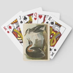 Baraja De Cartas Grebe de cuello rojo de los pájaros de América de 