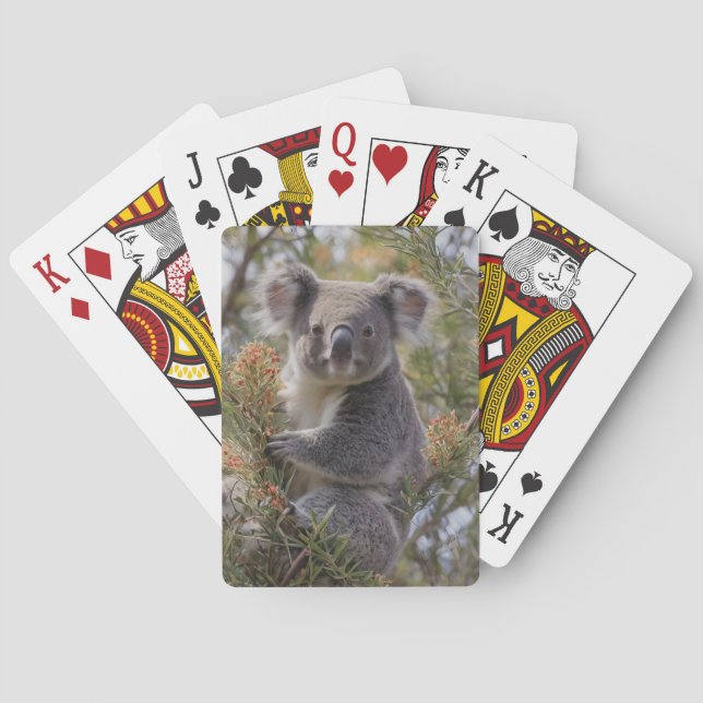 Baraja De Cartas Grevillea Koala Bear, (Reverso)