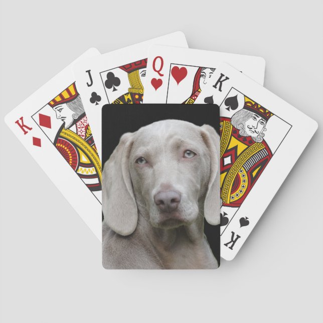Baraja De Cartas Gris plateado de Weimaraner (Reverso)