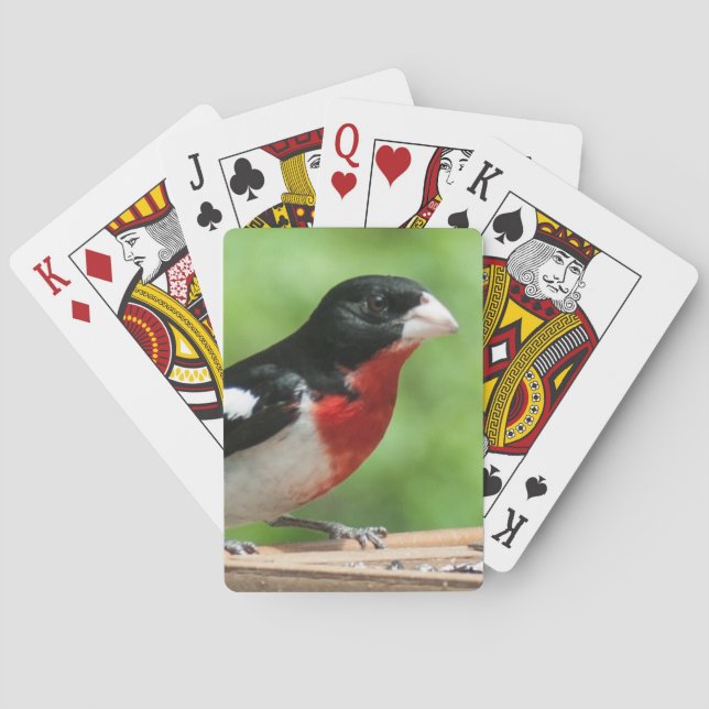 Baraja De Cartas Grosbeak de pecho Rosa (Reverso)
