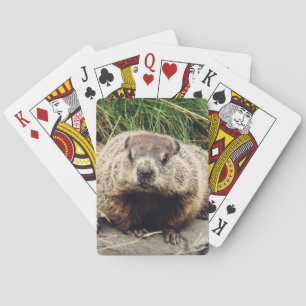 Baraja De Cartas Groundhog