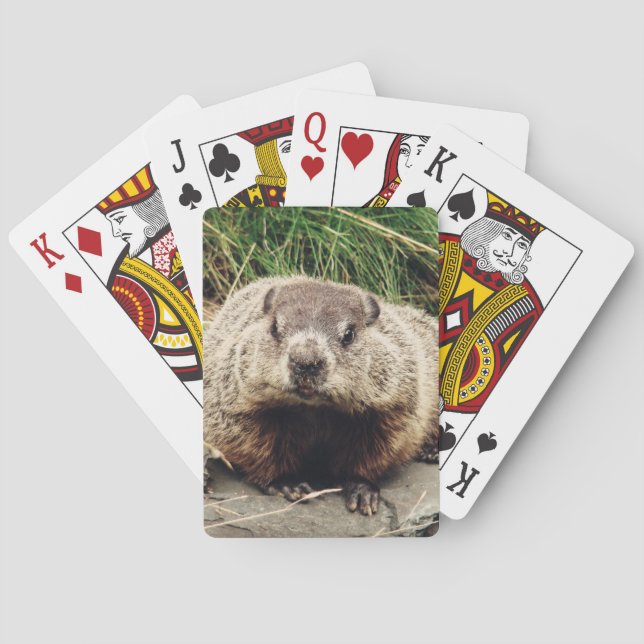 Baraja De Cartas Groundhog (Reverso)