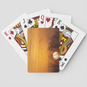 Baraja De Cartas Grullas siluetadas contra el sol naciente