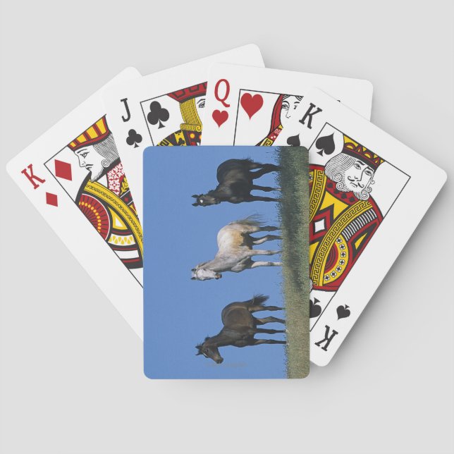 Baraja De Cartas Grupo de árabes (Reverso)