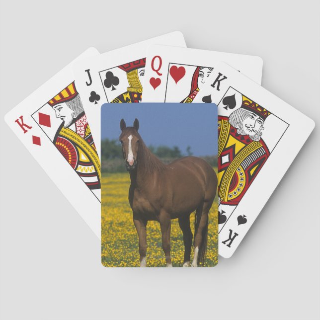Baraja De Cartas Grupo de caballos excelentes (Reverso)