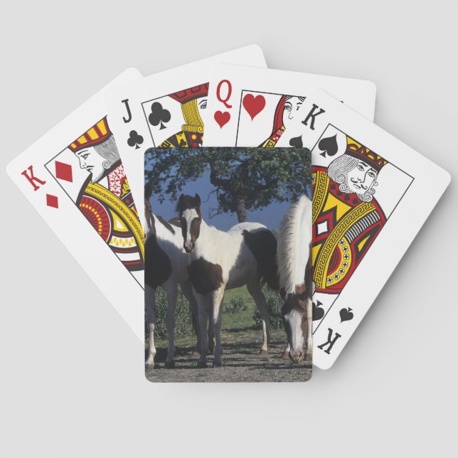 Baraja De Cartas Grupo de Caballos Pintados (Reverso)