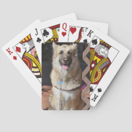 Baraja De Cartas GSD feliz