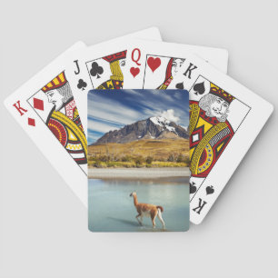 Baraja De Cartas Guanaco cruzando el río Torres del Paine