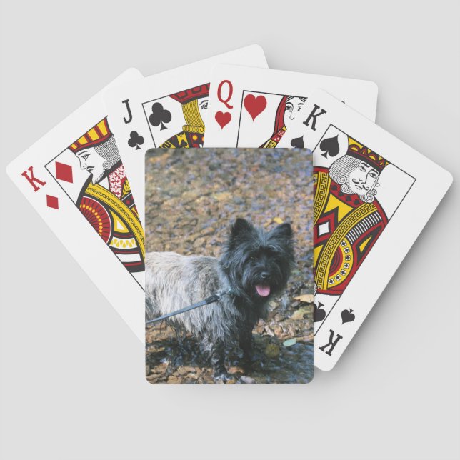 Baraja De Cartas Guay cairn (Reverso)