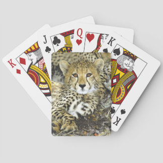 Baraja De Cartas Guepardo Cub 2