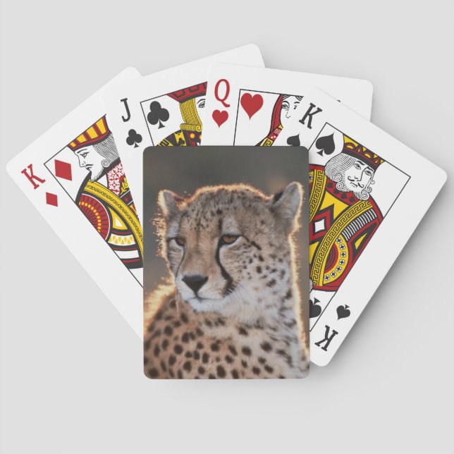 Baraja De Cartas Guepardo mirando hacia otro lado (Reverso)