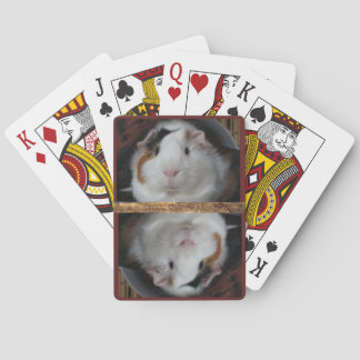 Baraja De Cartas Guinea Pig