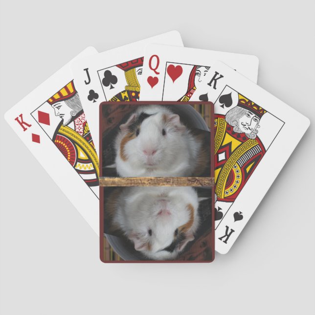 Baraja De Cartas Guinea Pig (Reverso)
