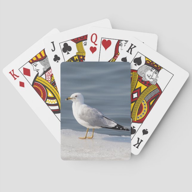 Baraja De Cartas Gull on ice (Reverso)