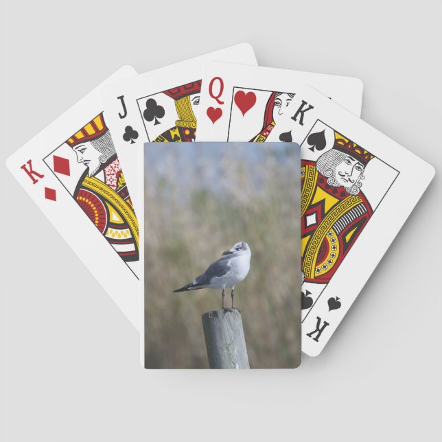 Baraja De Cartas Gull on Post (Reverso)