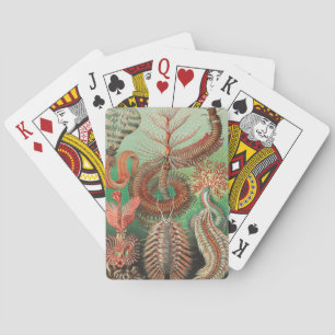 Baraja De Cartas Gusanos, Anélidos Chaetopoda por Ernst Haeckel