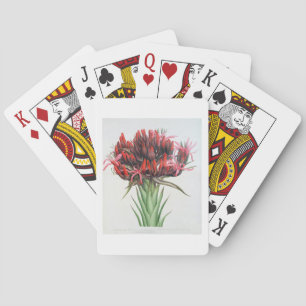Baraja De Cartas Gymea Lily, 1826 (p/c sobre el papel)