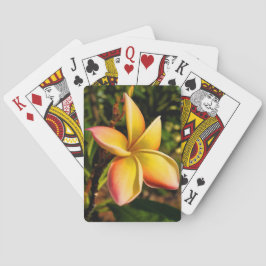 Baraja De Cartas Hacer frente al Sun