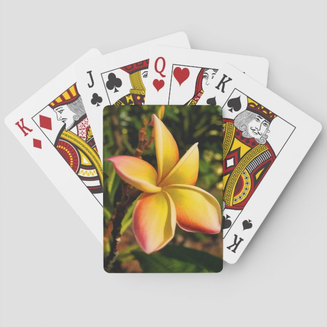 Baraja De Cartas Hacer frente al Sun (Reverso)