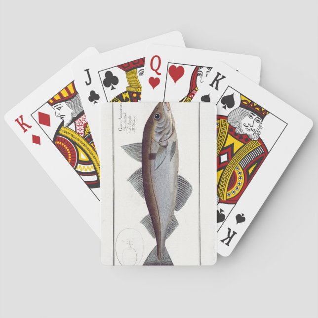 Baraja De Cartas Haddock (Gadus Aeglefinus) plate LXII from 'Ichthy (Reverso)