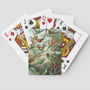 Baraja De Cartas Haeckel
