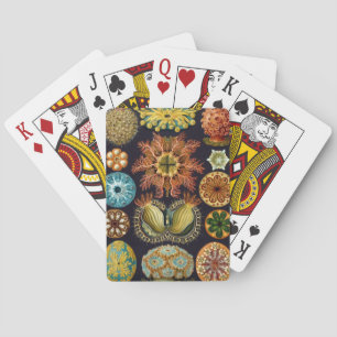 Baraja De Cartas Haeckel