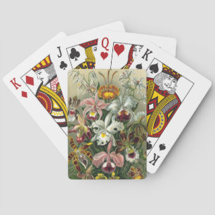 Baraja De Cartas Haeckel