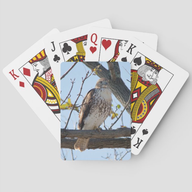 Baraja De Cartas Halcón atado rojo en vuelo (Reverso)