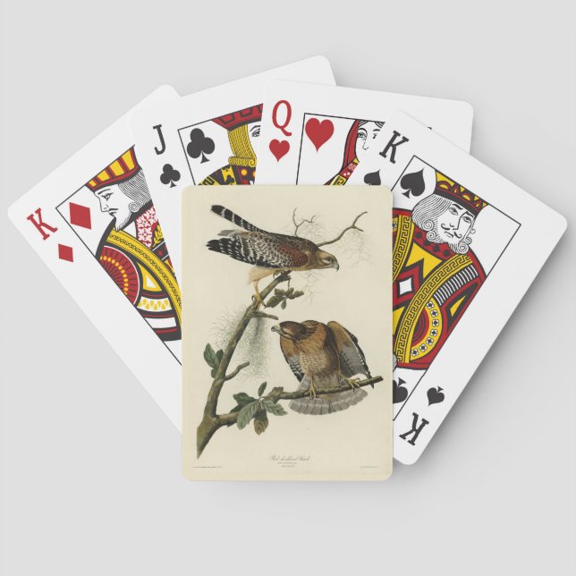 Baraja De Cartas Halcón de hombro rojo - Los pájaros de los Estados (Reverso)