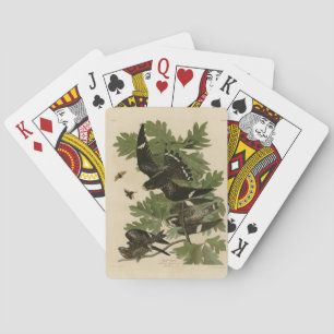 Baraja De Cartas Halcón nocturno - Los pájaros de América de John J