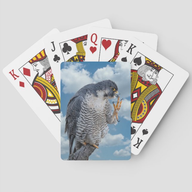 Baraja De Cartas Halcón Peregrino a lo largo del río Hudson (Reverso)