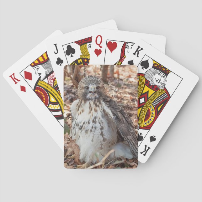 Baraja De Cartas Halcón rojo doblado (Reverso)