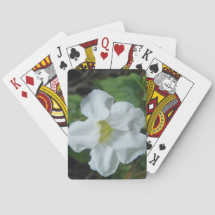 Baraja De Cartas Hallan flor tropical blanca en Fiyi