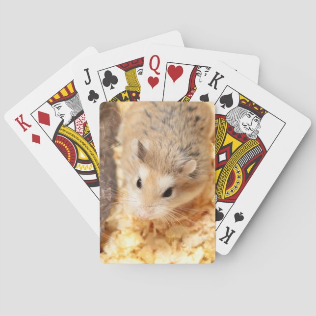 Baraja De Cartas Hammyville - Cute Hamster (Reverso)