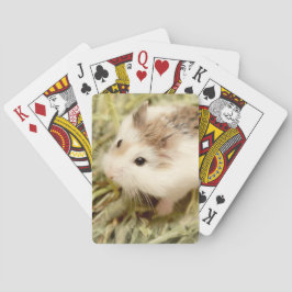 Baraja De Cartas Hammyville - Cute Hamster