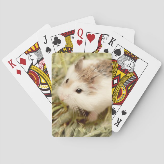 Baraja De Cartas Hammyville - Cute Hamster (Reverso)