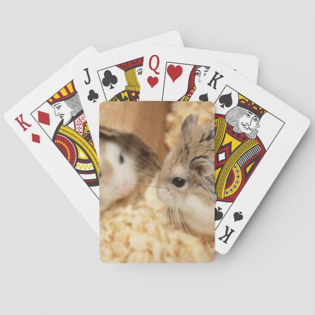 Baraja De Cartas Hammyville - Cute Hamster (Reverso)