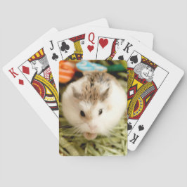 Baraja De Cartas Hammyville - Cute Hamster