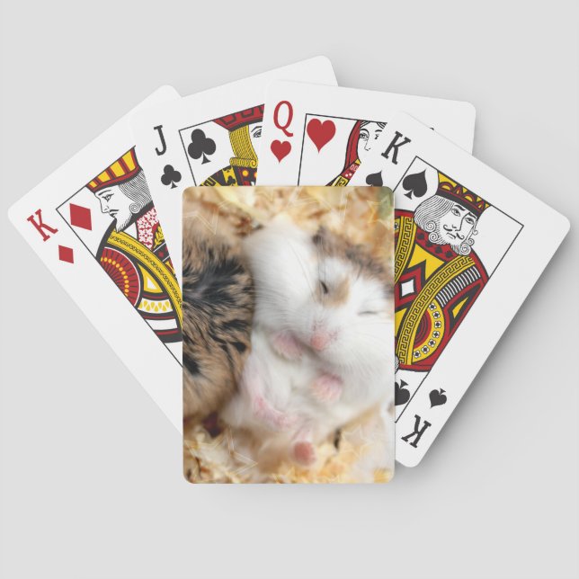 Baraja De Cartas Hammyville - Cute Hamster (Reverso)