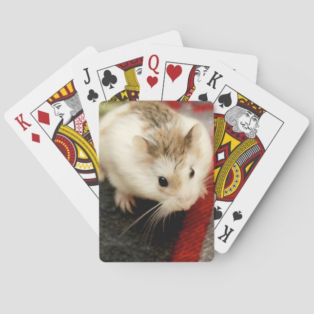 Baraja De Cartas Hammyville - Cute Hamster (Reverso)