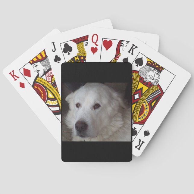 Baraja De Cartas Handsome Great Pyrenees Dog (Reverso)