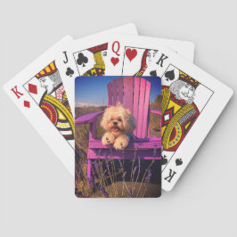 Baraja De Cartas Happy Playful Shih Tzu Puppy, Dog Relaxing
